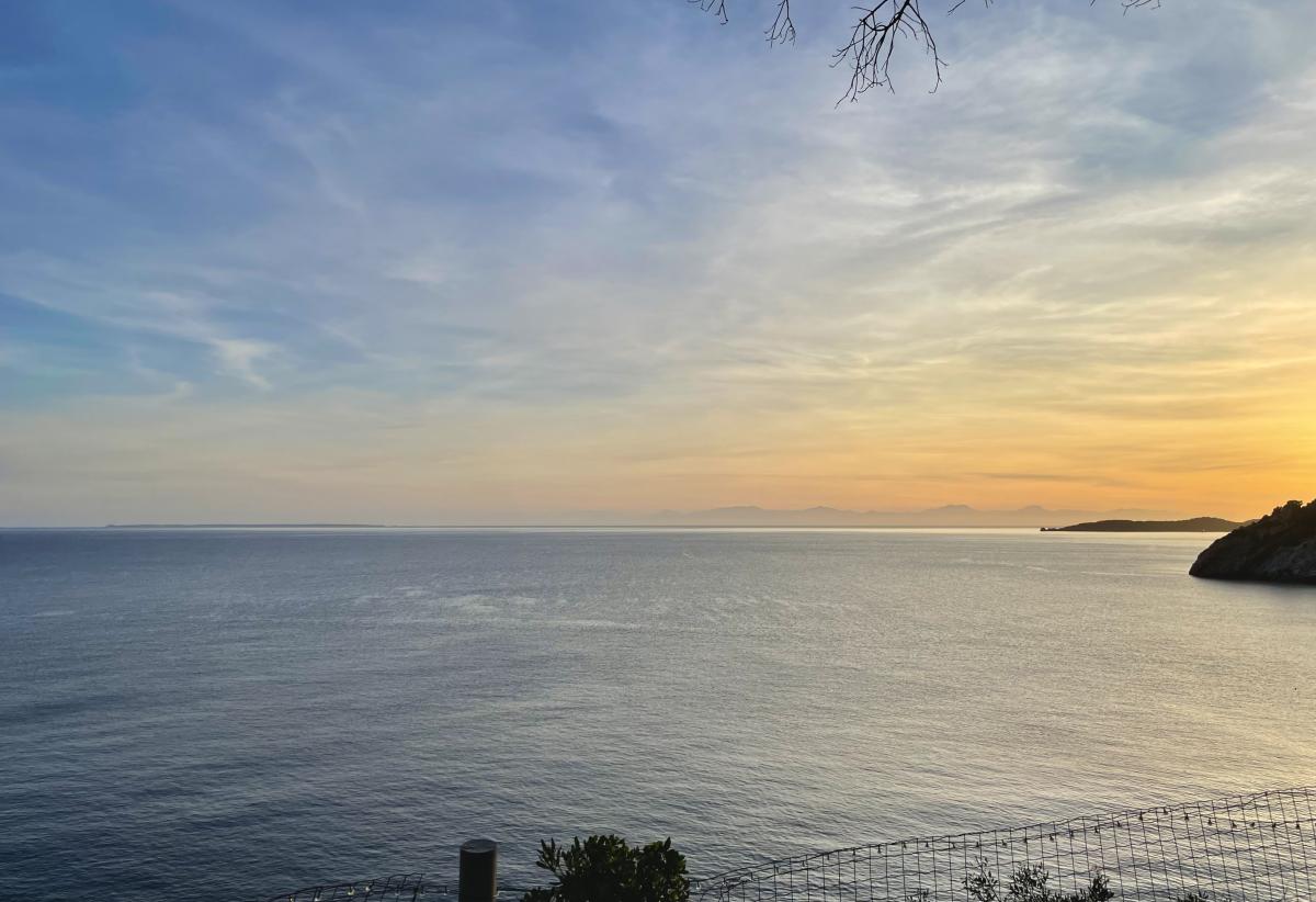 vendita Isola d'Elba