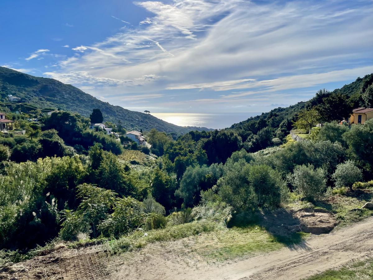 vendita Isola d'Elba