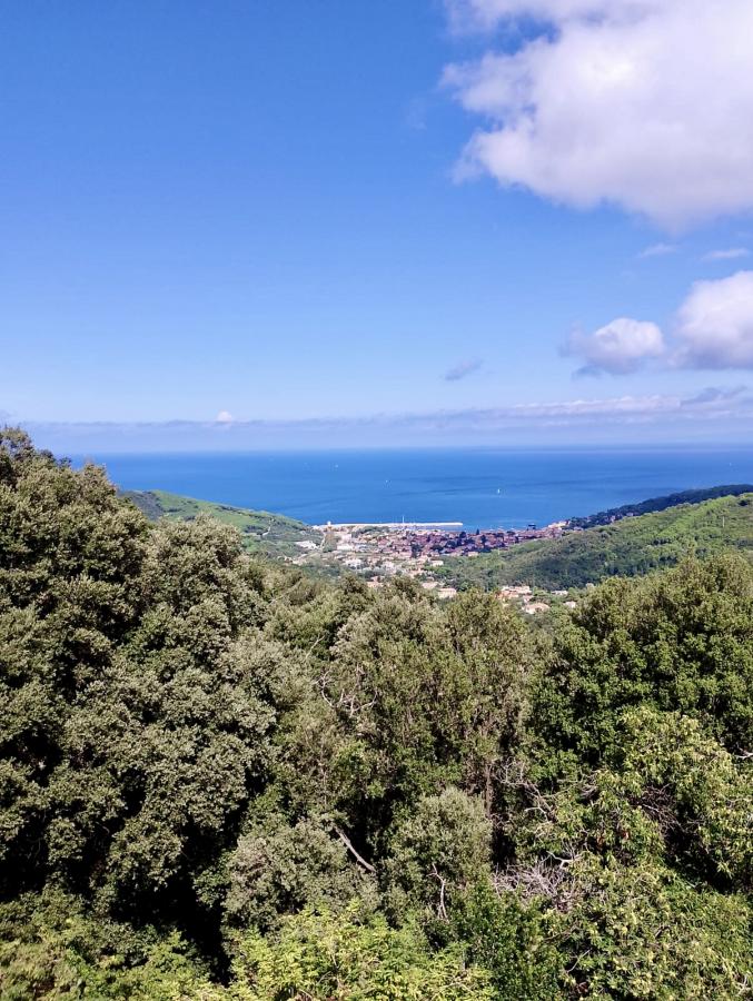 vendita Isola d'Elba