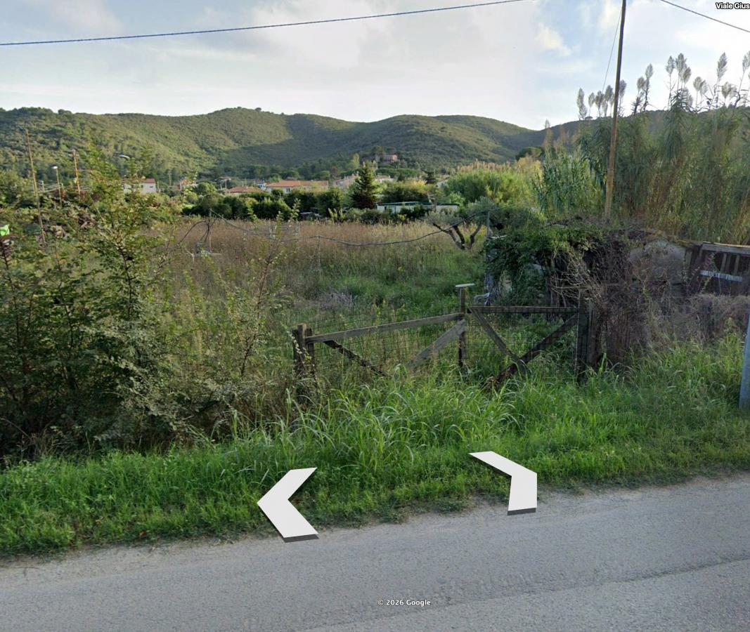 vendita Isola d'Elba